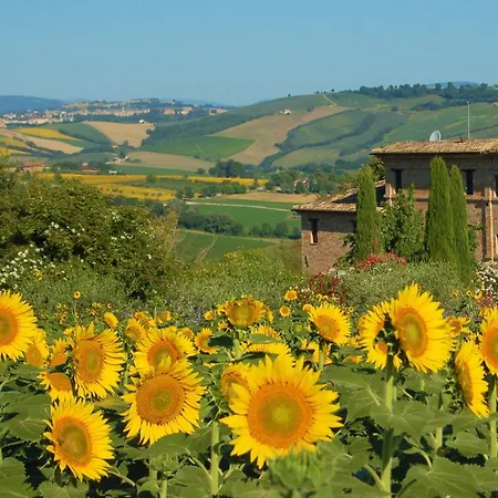 Belvedere Rosa - Self-catering With Pool And Views 公寓