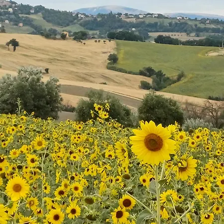 Belvedere Rosa - Self-catering With Pool And Views Apartament *