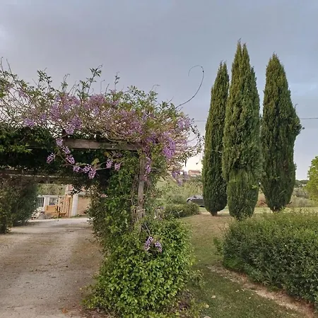 公寓 Belvedere Rosa - Self-catering With Pool And Views 莫利亚诺
